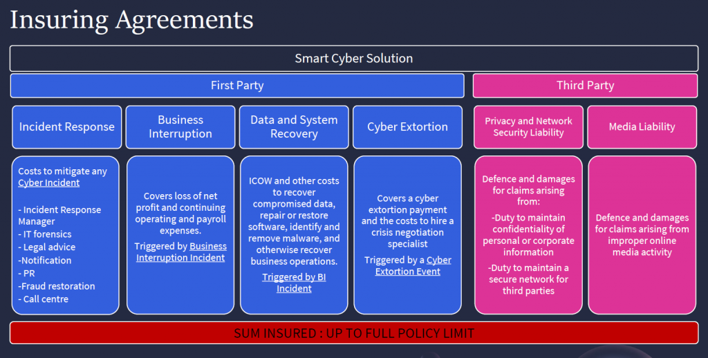 Cyber Insurance Protection – Solution Risk